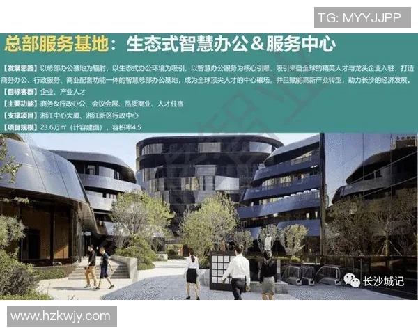 足球经商新模式探索如何将体育产业与商业智慧完美结合